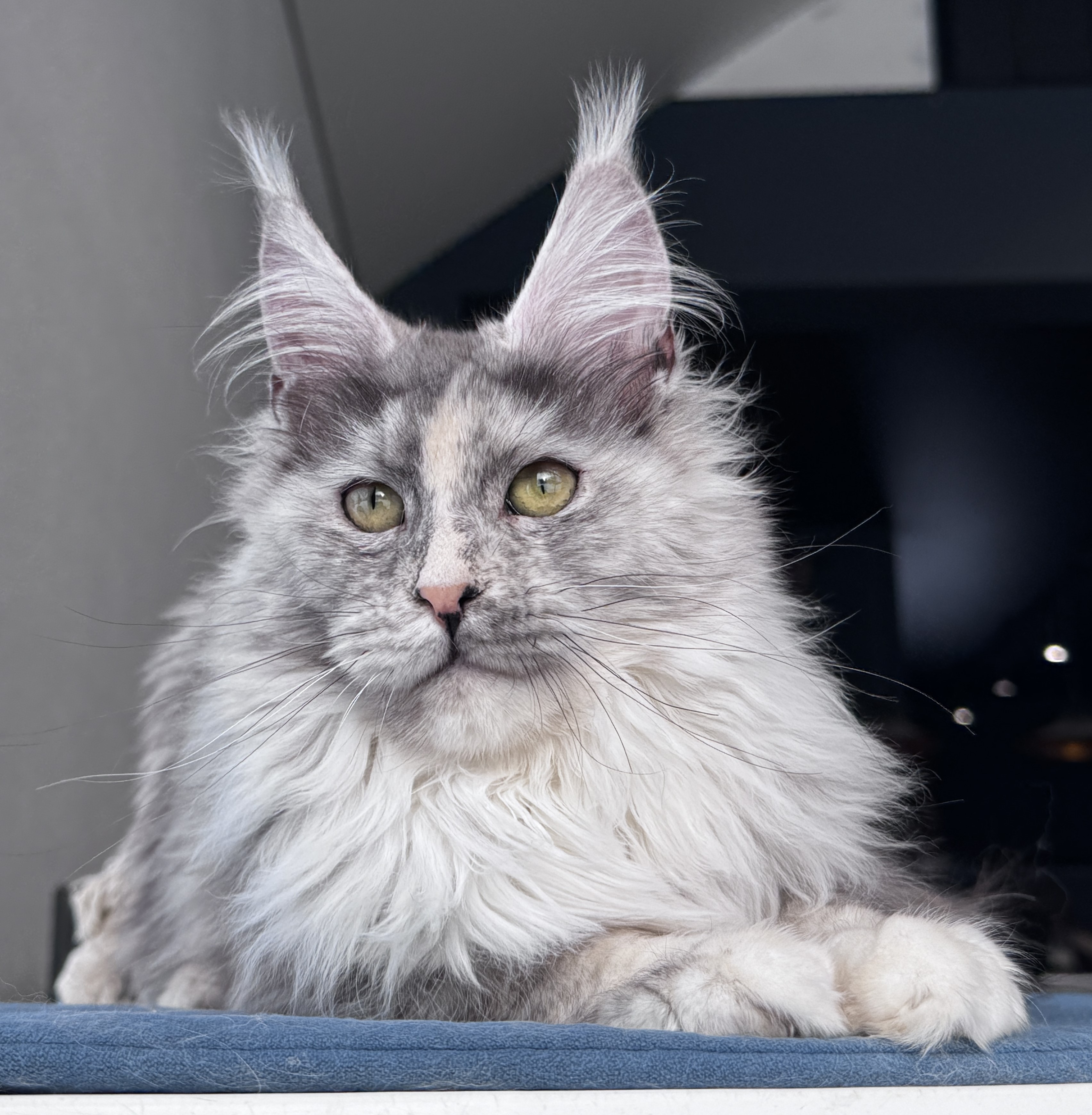 2026 02 10 150043 7G9ROx