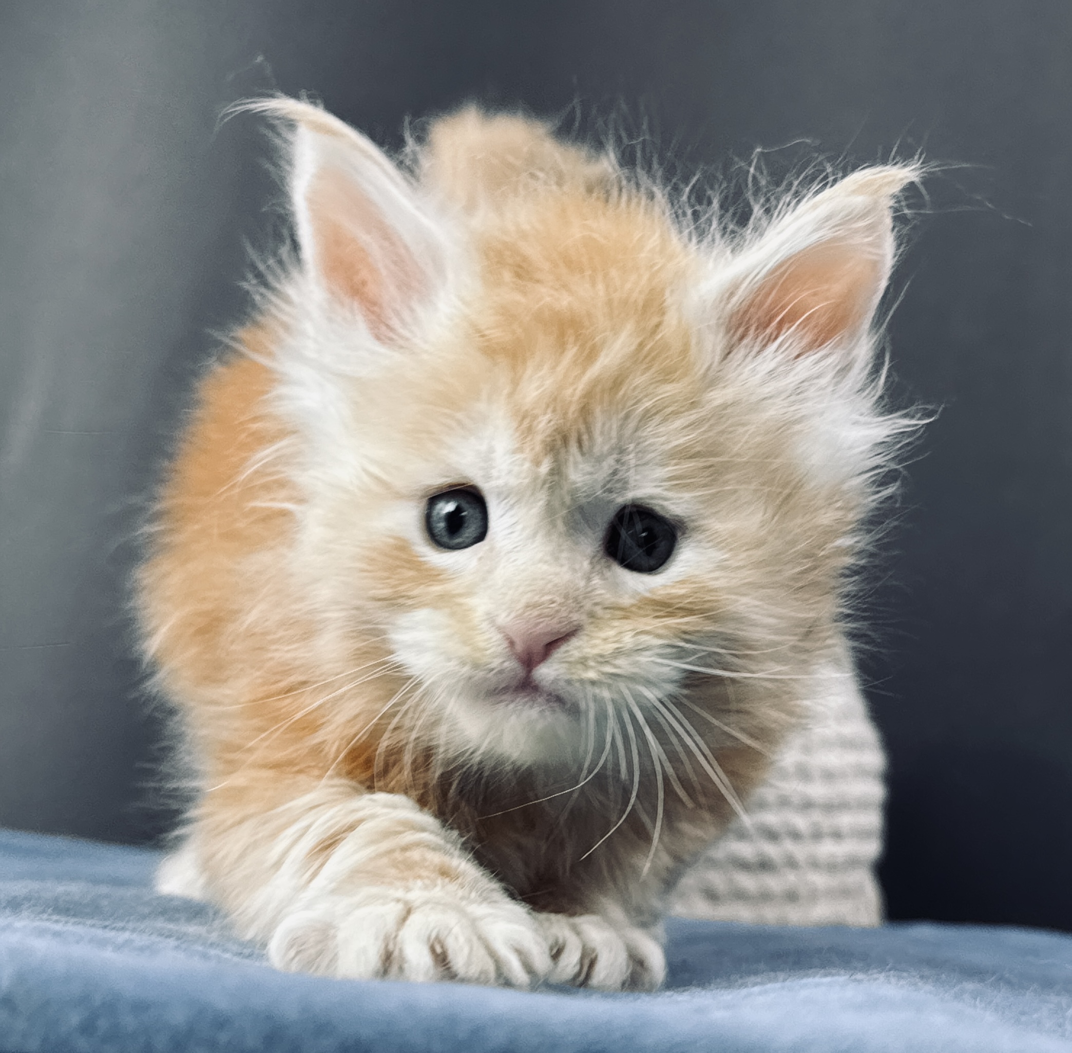 Veyron Volcano Flame