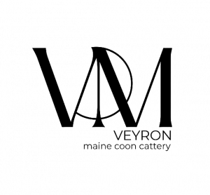 VEYRON Maine Coon Cattery